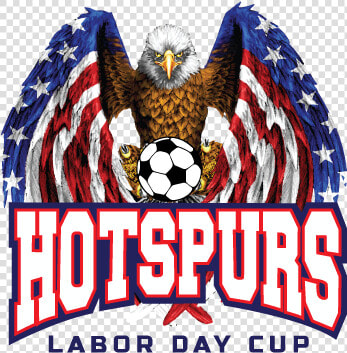 Gotsoccer Rankings Hotspurs Cup   High Resolution American Flag Eagle  HD Png DownloadTransparent PNG