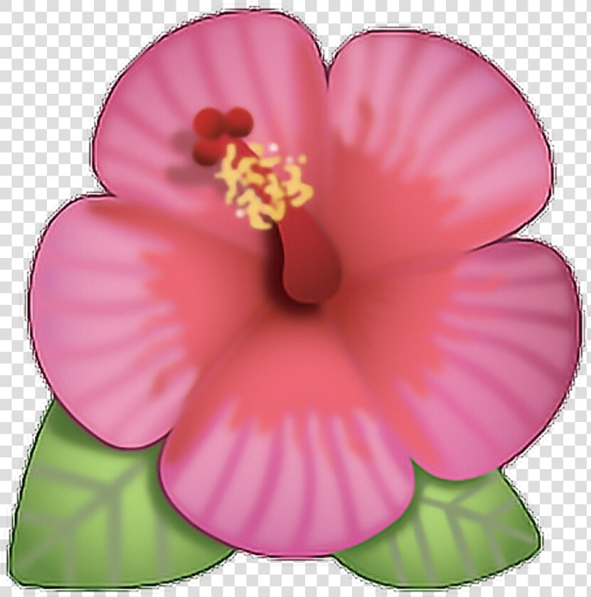 Flor Emoji Rosa Ed Cute Png Flower Cool Love  Transparent PngTransparent PNG