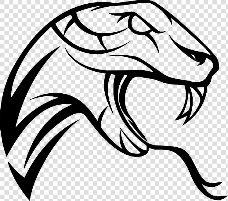 Snake Head   Clipart Snake Head  HD Png DownloadTransparent PNG