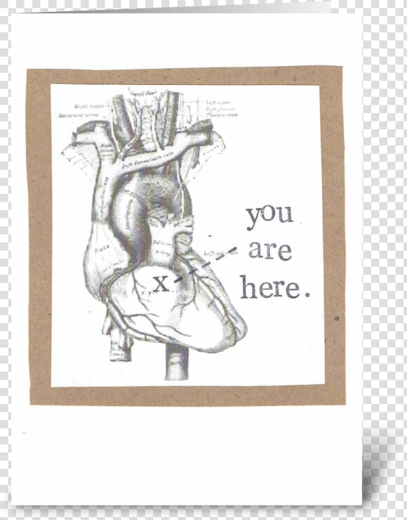 You Are Here Anatomical Heart Greeting Card   Valentine  39 s Day Medical Puns  HD Png DownloadTransparent PNG