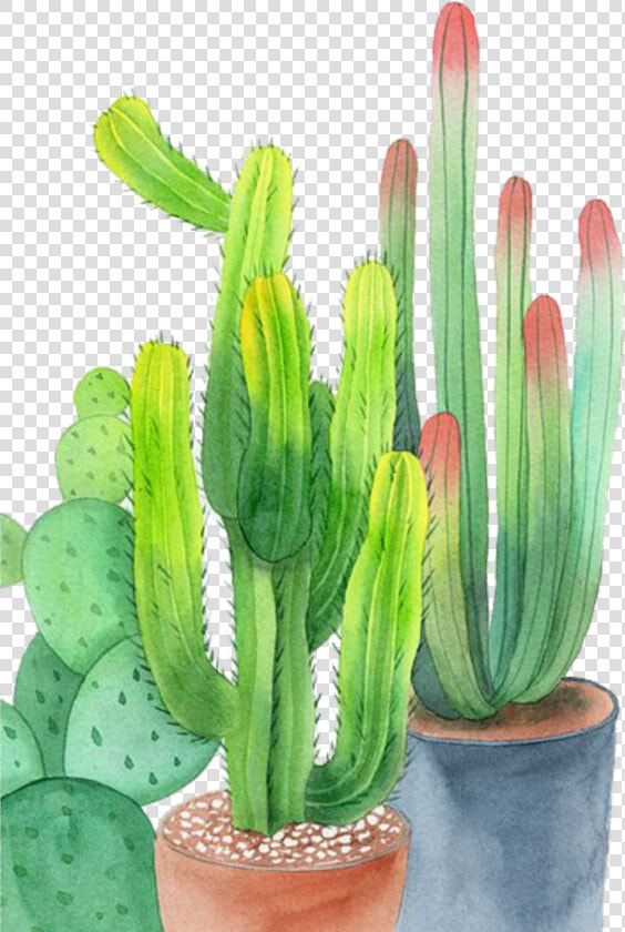  ftestickers  watercolor  cactus  cacti  potted   Watercolor Painting  HD Png DownloadTransparent PNG