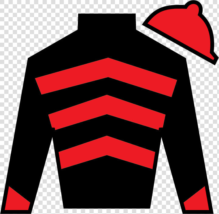 Kentucky Derby Silks In Post Position Order Tdp News   Kentucky Derby Silks 2019  HD Png DownloadTransparent PNG