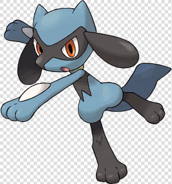 Pokemon Riolu  HD Png DownloadTransparent PNG