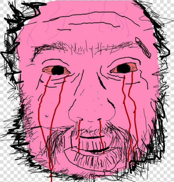 Transparent Sam Hyde Png   Crypto Desperation Meme Wojak  Png DownloadTransparent PNG