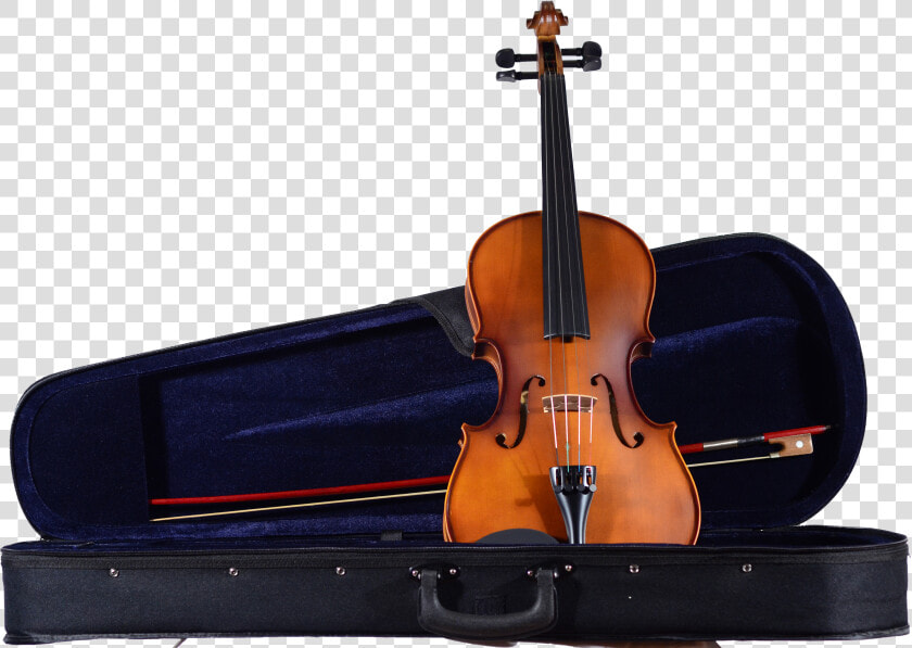 Ca 100 Viola And Case   Viola  HD Png DownloadTransparent PNG