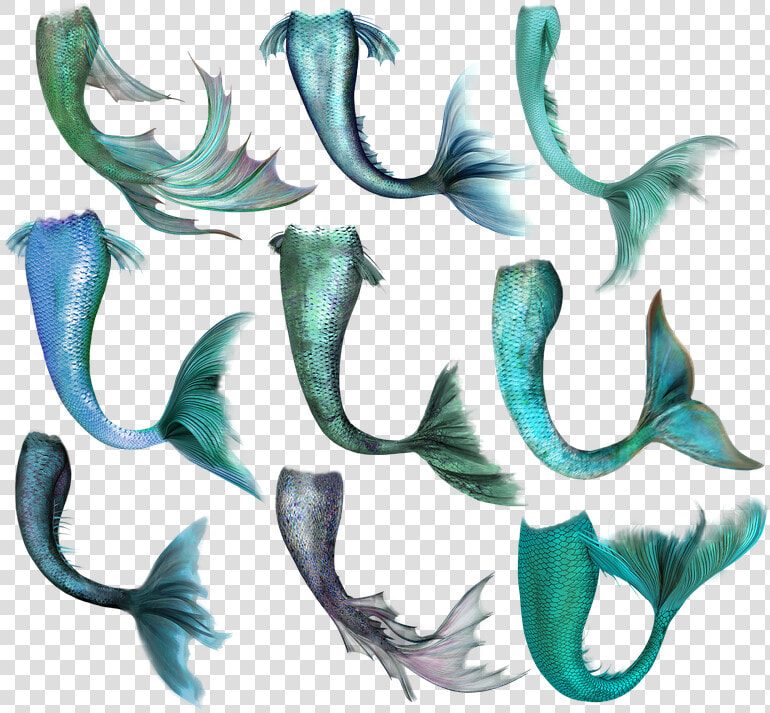 Mermaid  Fish  Tail  Merrow  Fantasy  Magic  Creature   Mermaid Tail Overlay  HD Png DownloadTransparent PNG