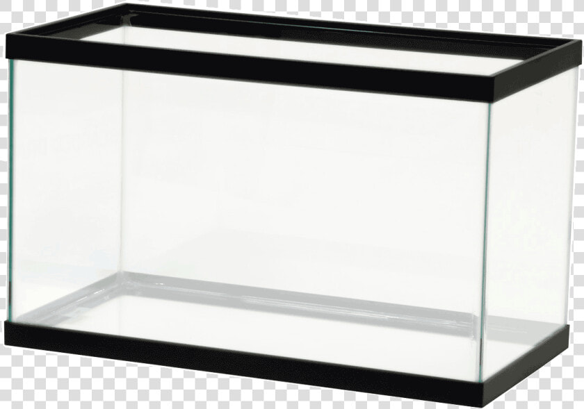 Tank Clipart Rectangular Fish Tank   10 Gallon Fish Tank  HD Png DownloadTransparent PNG