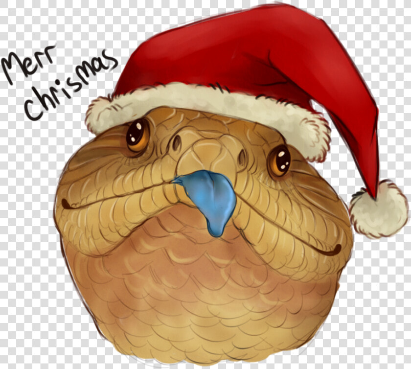 Chrismas Beak Owl   Blue Tongue Skink Drawing  HD Png DownloadTransparent PNG