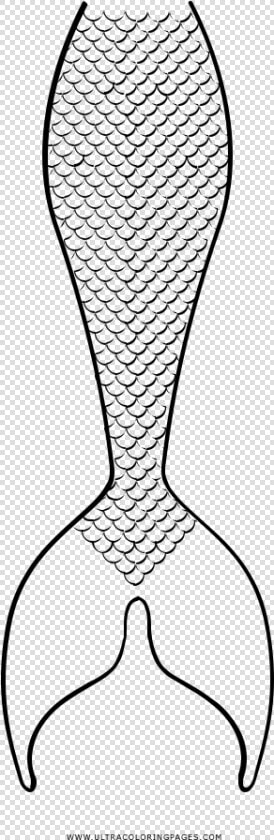 Mermaid Tail Coloring Page   Mermaid Tail Coloring Pages  HD Png DownloadTransparent PNG