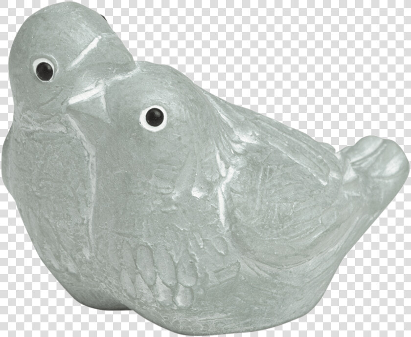 Pigeons And Doves  HD Png DownloadTransparent PNG