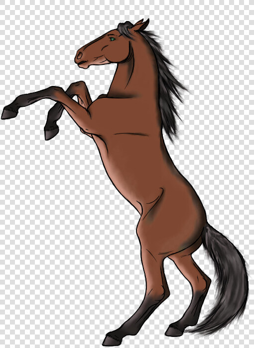 Clip Art Collection Of Free Download   Drawing Of A Horse Rearing  HD Png DownloadTransparent PNG