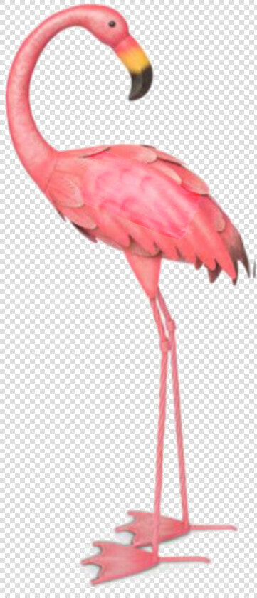  ftestickers  watercolor  illustration  flamingo  pinkflamingo   Flamingo Transparent Background  HD Png DownloadTransparent PNG