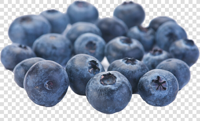 Blueberry Png   Blueberries Fruit  Transparent PngTransparent PNG