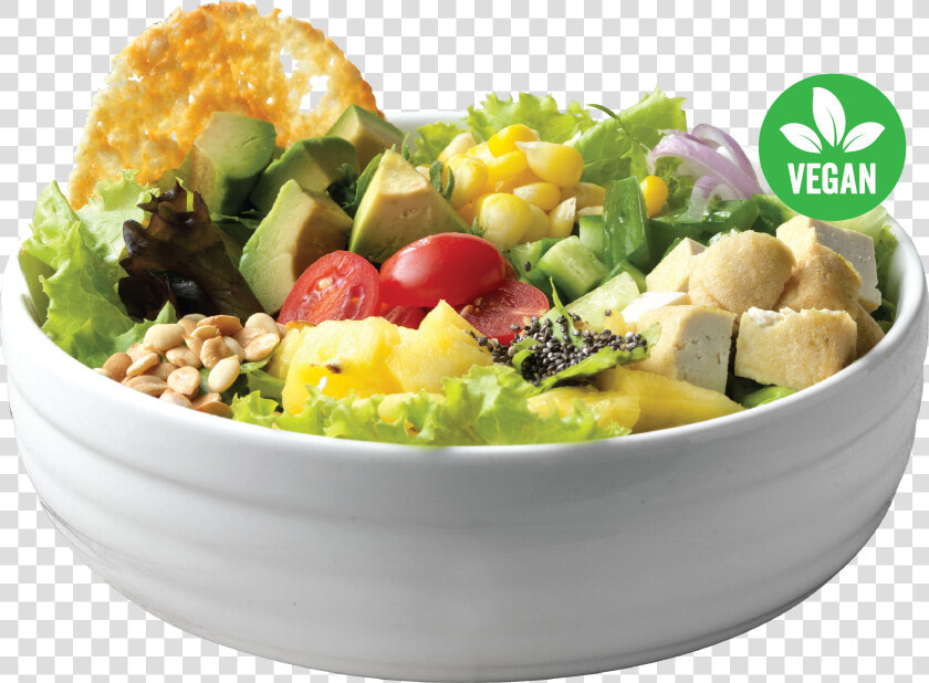 Fish Bowl Salad Bowl  HD Png DownloadTransparent PNG