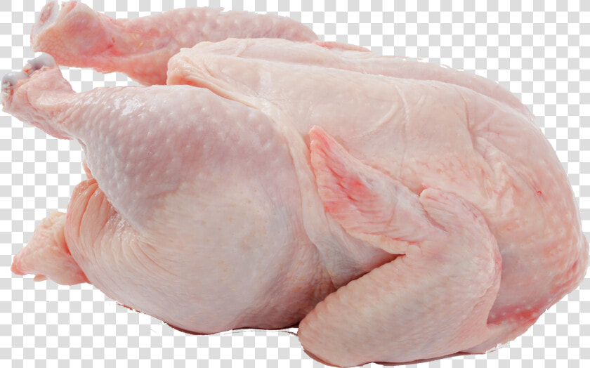 Animal Fat turkey Meat chicken Breast chicken Meat food chicken   Chicken Meat  HD Png DownloadTransparent PNG