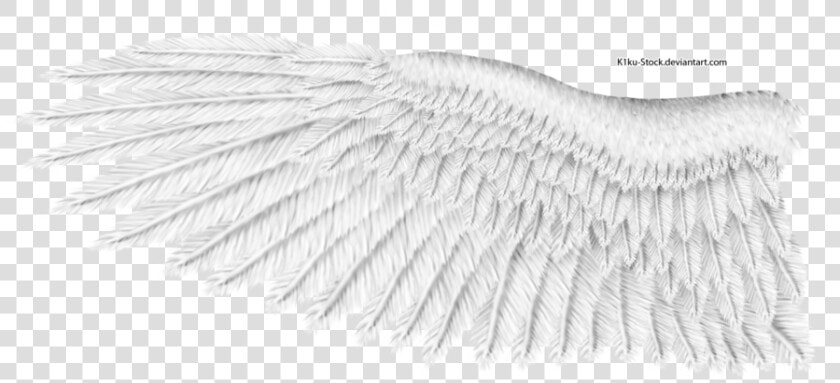 White Wings Png Download Image   White Eagle Wings Png  Transparent PngTransparent PNG