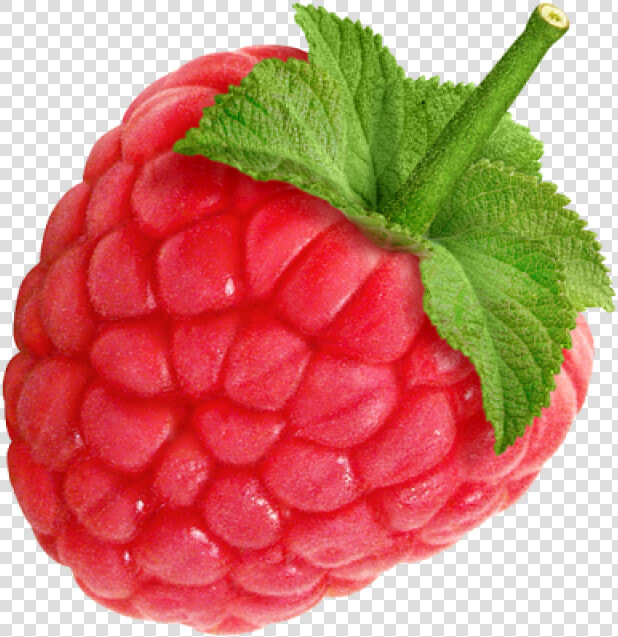 Raspberry Png Image   Raspberry Png  Transparent PngTransparent PNG