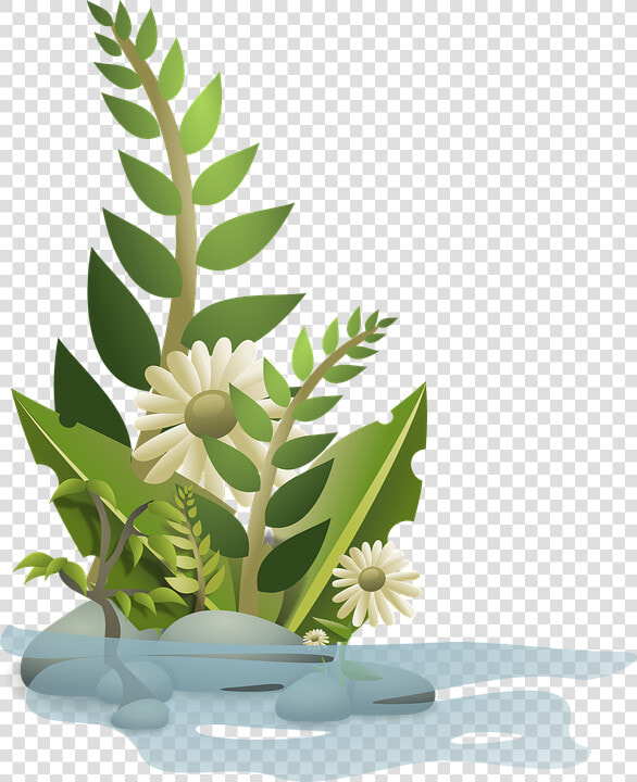 Transparent Growing Clipart   Plant Clip Art  HD Png DownloadTransparent PNG