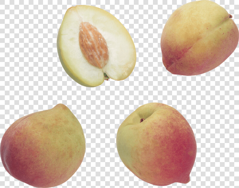 Peach Png Image   Peach  Transparent PngTransparent PNG