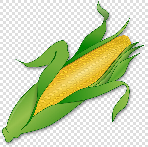 Corn On The Cob Maize Sweet Corn Clip Art   Corn Clipart Transparent Background  HD Png DownloadTransparent PNG