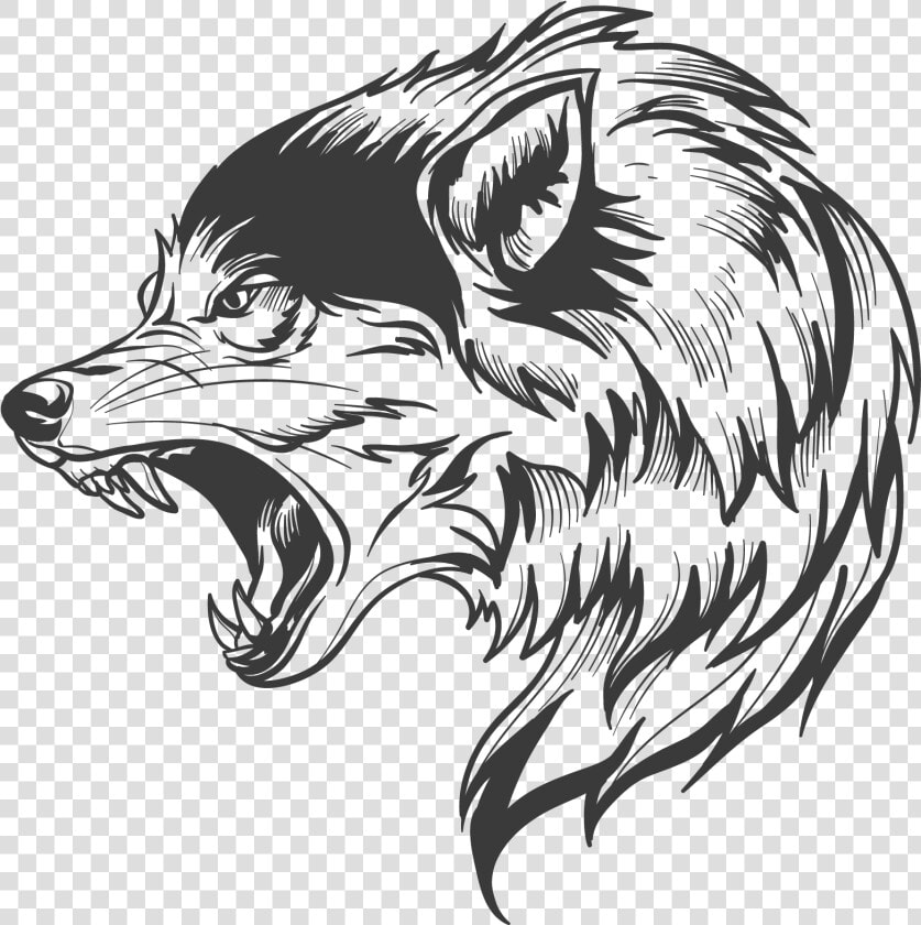 Wolf Wolf Silhouette  Wolf Head Drawing  Wolf Clipart    Transparent Wolf Vector Png  Png DownloadTransparent PNG