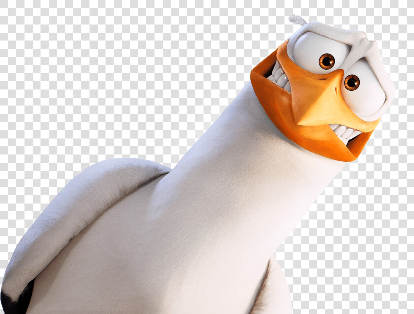 Latest   Storks Png  Transparent PngTransparent PNG