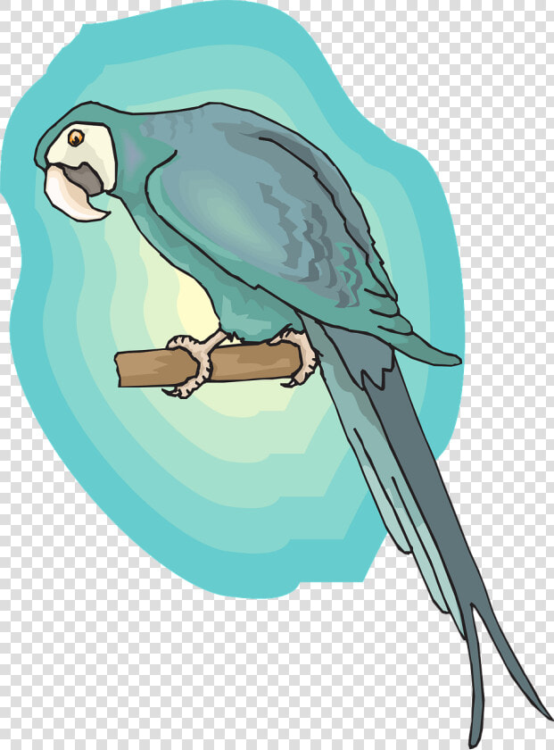 Wings Png Blue Bird Background Picpng Image   Macaw  Transparent PngTransparent PNG