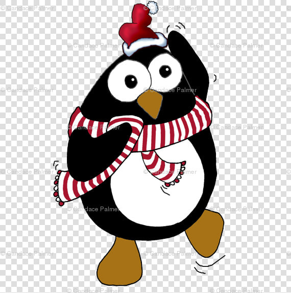 Adã©lie Penguin  HD Png DownloadTransparent PNG