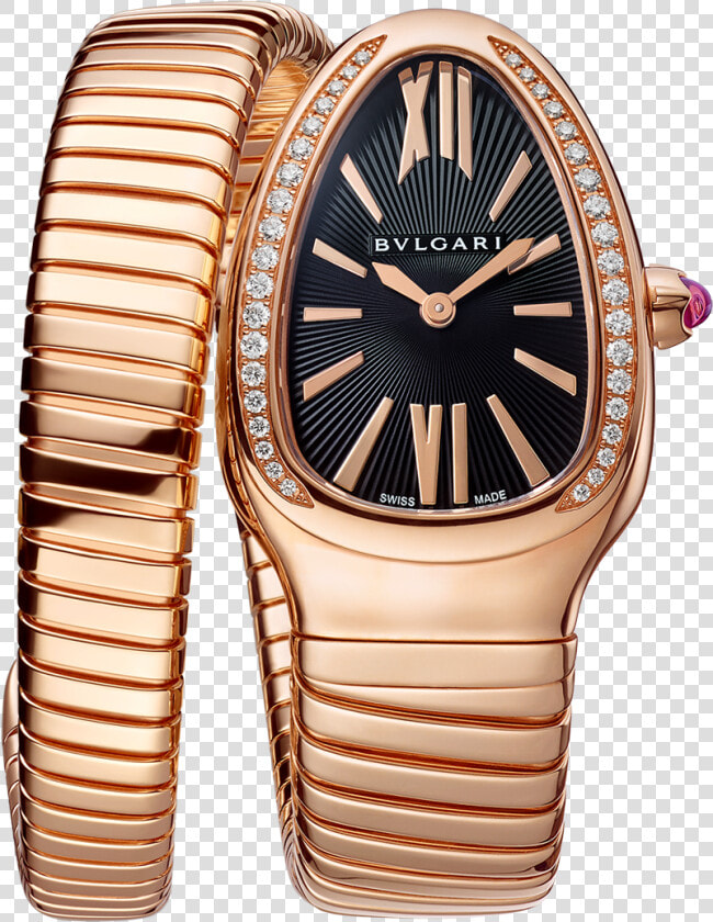 Bvlgari Serpenti Watch  HD Png DownloadTransparent PNG