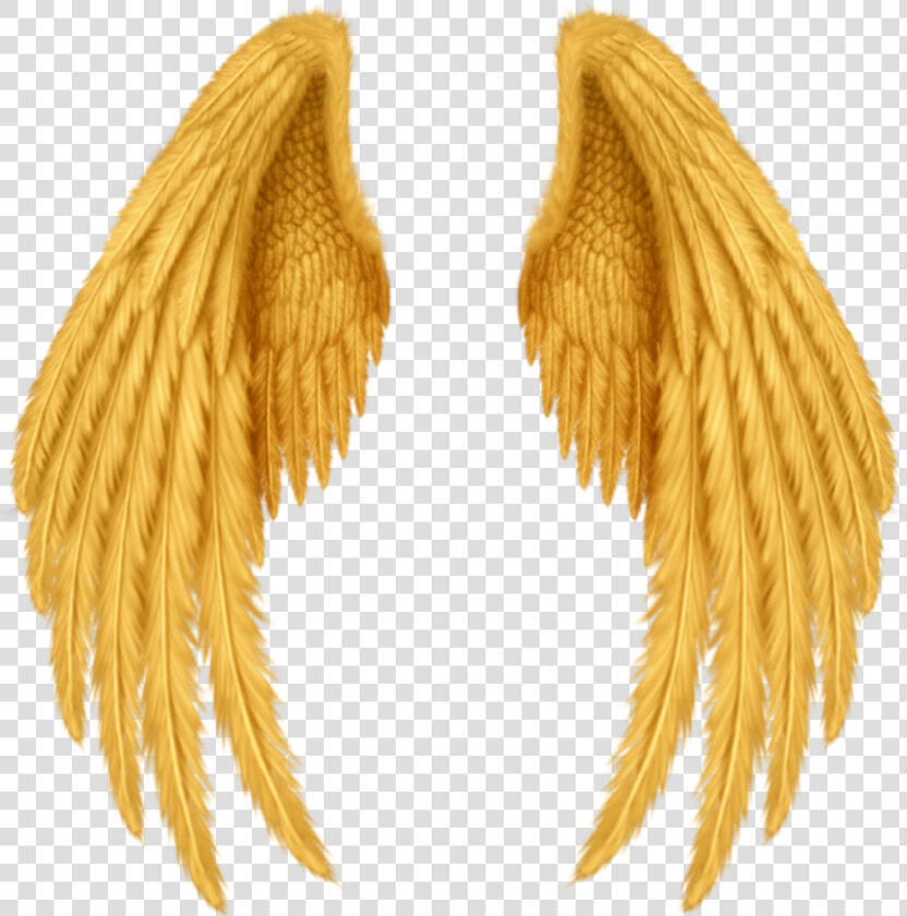  wings  alas  gold  golden  doradas  oro  gods  dioses   Realistic Angel Wings Drawing  HD Png DownloadTransparent PNG