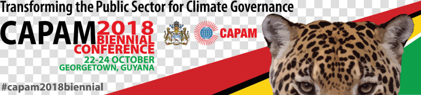 Capam 2018 Biennial Conference  HD Png DownloadTransparent PNG