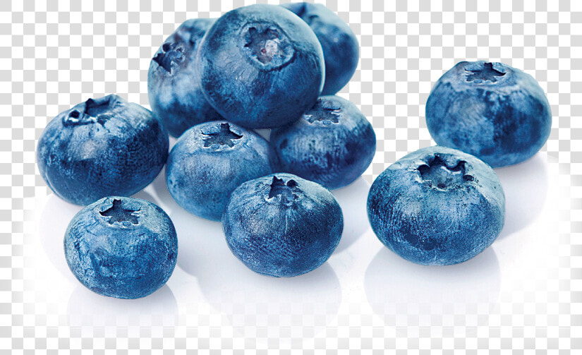 Blueberries Png  Transparent PngTransparent PNG