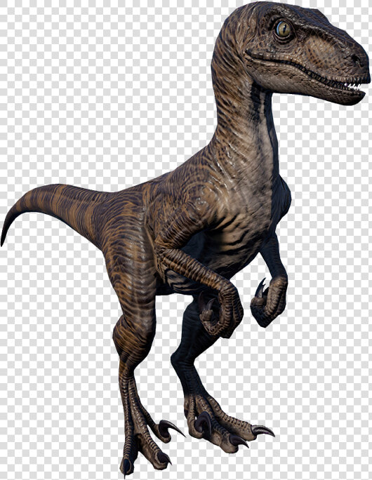     Jurassic World Evolution Velociraptor 1993  HD Png DownloadTransparent PNG