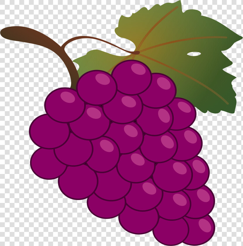 Grape seedless Fruit grapevine Family grape Plant flower berry clip   Grapes Clipart  HD Png DownloadTransparent PNG