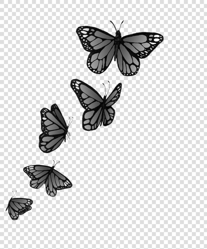 Tatuaje De Mariposas Volando   Mariposas Pequeñas Png  Transparent PngTransparent PNG