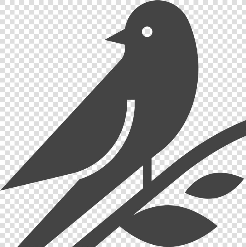 European Swallow  HD Png DownloadTransparent PNG