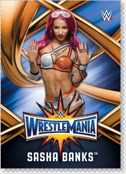 Sasha Banks 2017 Wwe Road To Wrestlemania Wrestlemania   Wwe Undertaker Trading Cards  HD Png DownloadTransparent PNG