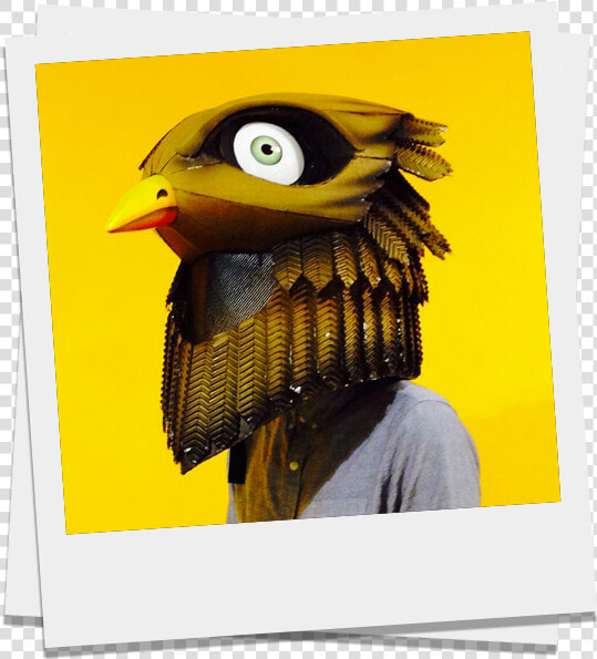 Hornbill  HD Png DownloadTransparent PNG