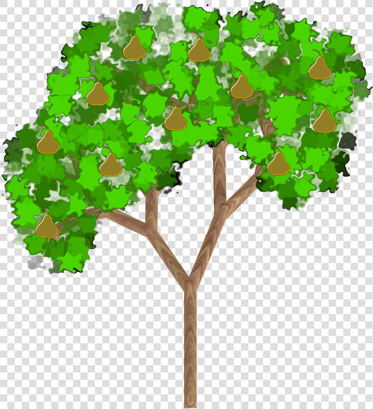 Plant leaf shrub   Pear Tree With Fruit Clip Art  HD Png DownloadTransparent PNG