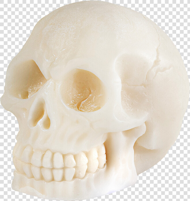 Peppermint Scream Title Peppermint Scream   Skull  HD Png DownloadTransparent PNG