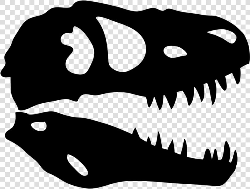 Dinosaur Skull X ray   Pangaea Land Of Dinosaurs  HD Png DownloadTransparent PNG