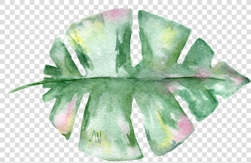 Hand Painted Leaf Material Free Download   Transparent Watercolor Plant Png  Png DownloadTransparent PNG