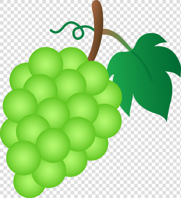 Green Grapes Clipart   Grapes Clipart  HD Png DownloadTransparent PNG