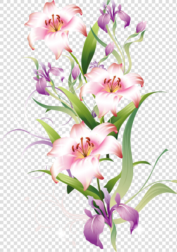 Lily Clipart Lilium   Lily  HD Png DownloadTransparent PNG