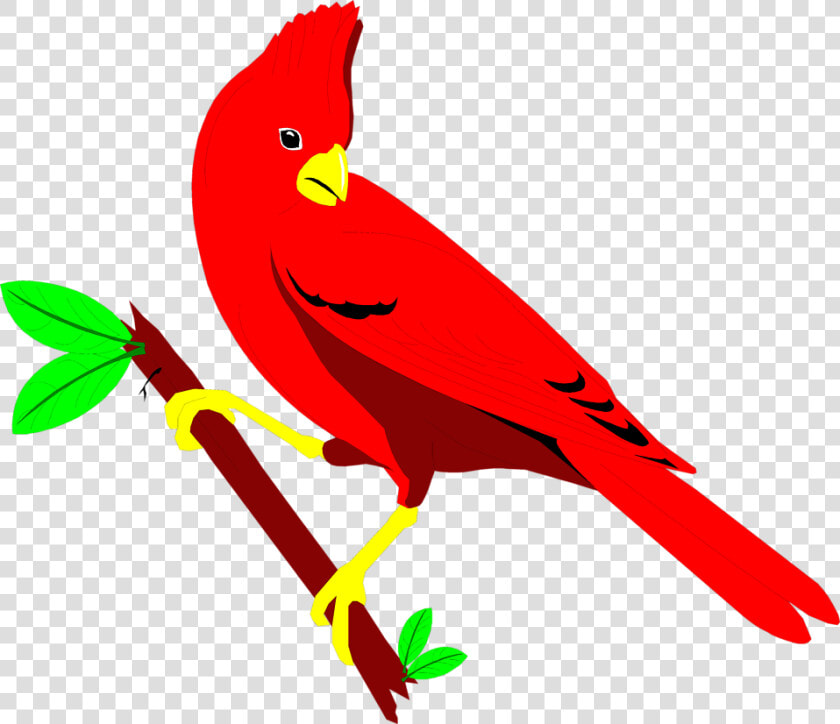 Cardinal Free Stock Photo Illustration Of A Red Cardinal   Transparent Red Bird Gif  HD Png DownloadTransparent PNG