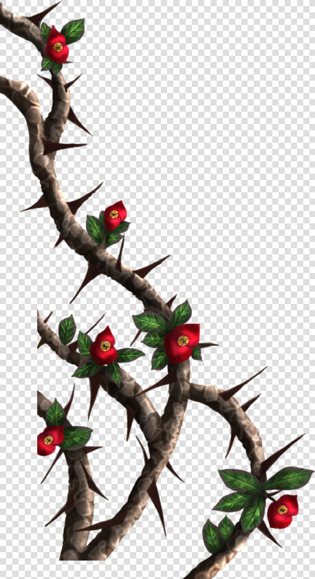 Drawings Of Roses With Vines And Thorns Crown Painted  HD Png DownloadTransparent PNG