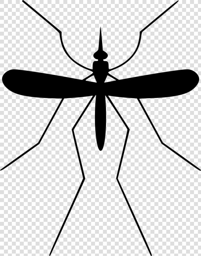 Mosquito Clipart Svg   Mosco Png  Transparent PngTransparent PNG