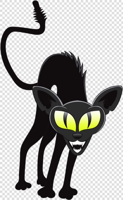 Black Cat Halloween Whiskers Witch   Cat Halloween Png  Transparent PngTransparent PNG