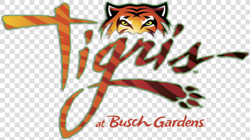 Tigris Roller Coaster Busch Gardens  HD Png DownloadTransparent PNG