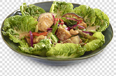 Warm Chilli Chicken Salad Wagamama  HD Png DownloadTransparent PNG